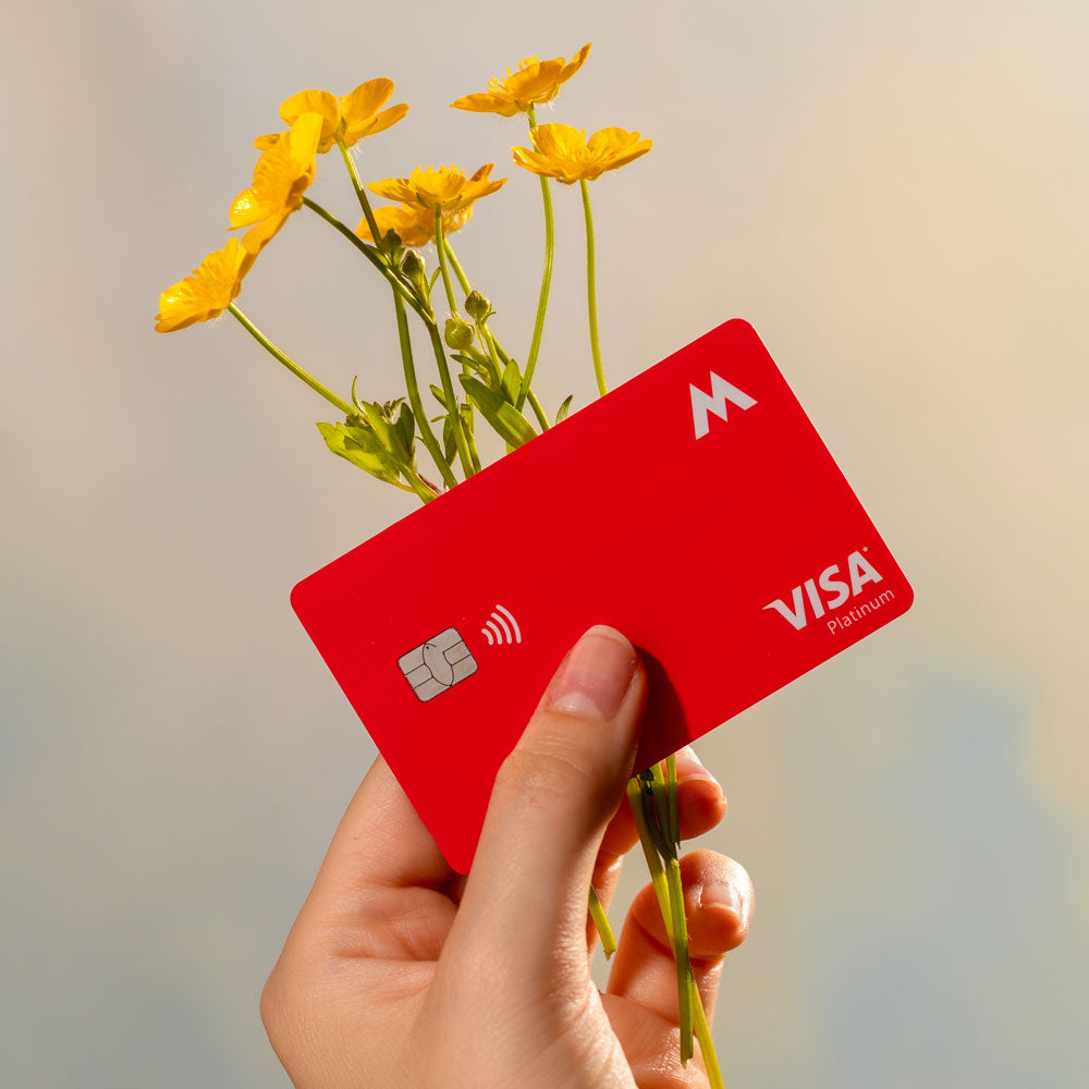 Sustainable Spotlight: Mogo
