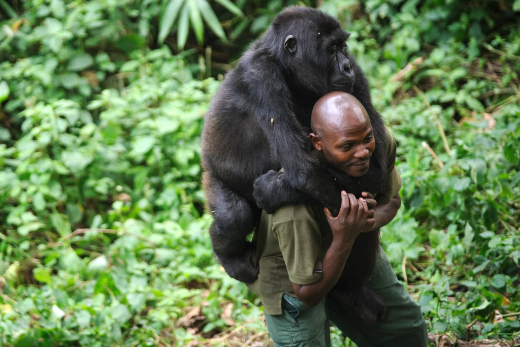 4 Beautiful Places That Are In Danger Of Disappearing