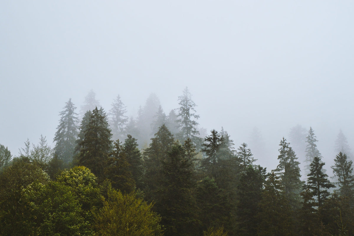 5 Perks of Going Outside in Crummy Weather