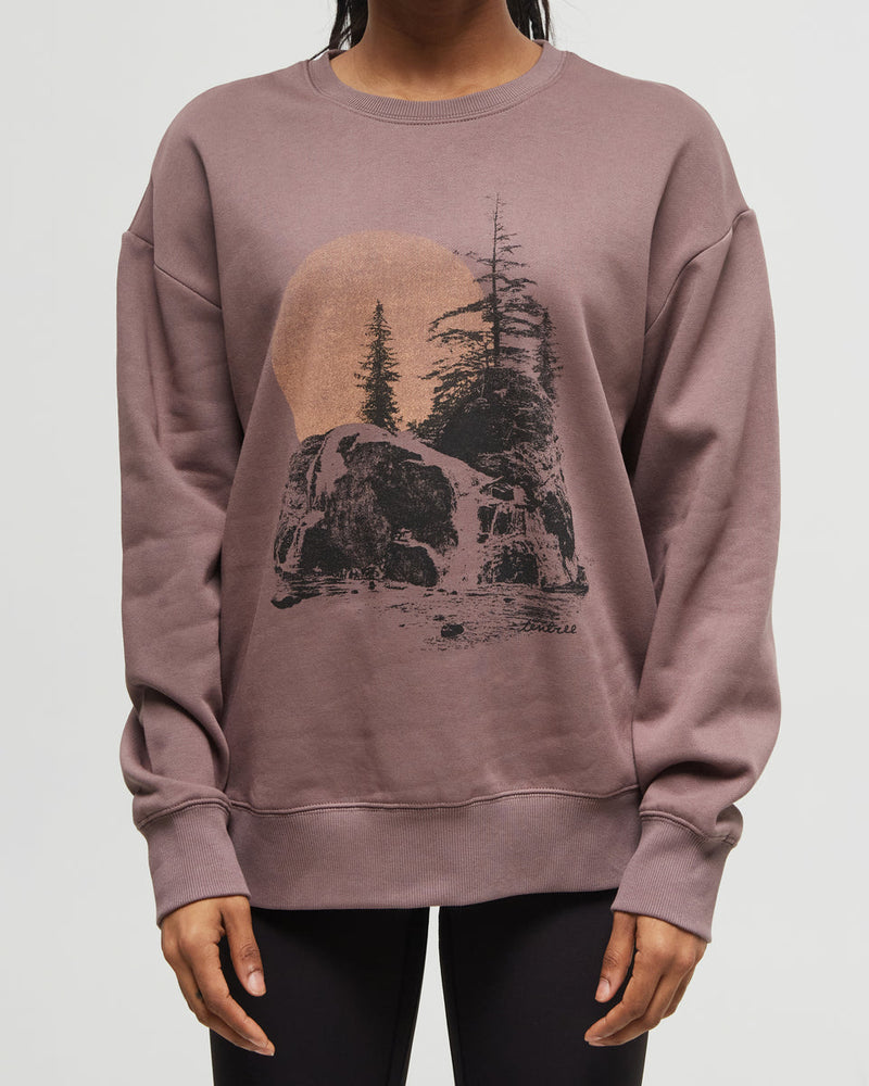 Brown-Crew-Neck-Graphic-Longsleeve-Sweatshirt