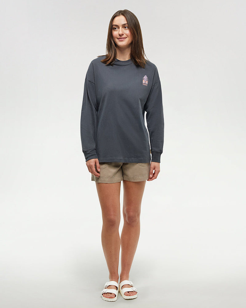 Grey-Crew-Neck-Graphic-Longsleeve-Top